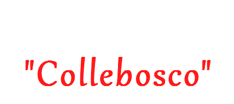 Benvenuto a "Collebosco"